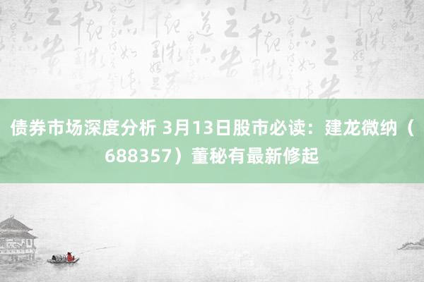 债券市场深度分析 3月13日股市必读：建龙微纳（688357）董秘有最新修起