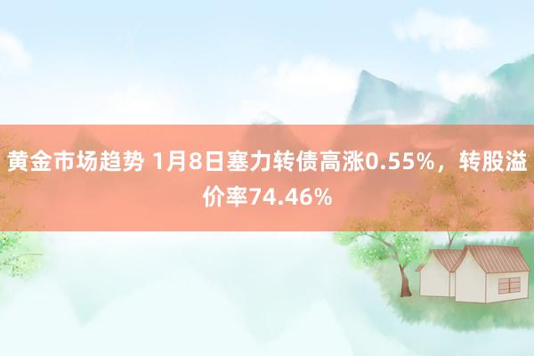 黄金市场趋势 1月8日塞力转债高涨0.55%，转股溢价率74.46%