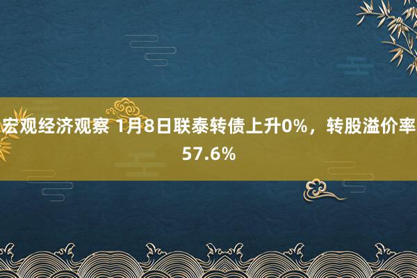 宏观经济观察 1月8日联泰转债上升0%，转股溢价率57.6%