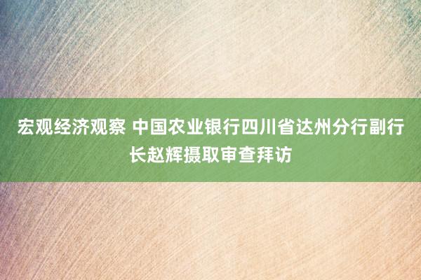 宏观经济观察 中国农业银行四川省达州分行副行长赵辉摄取审查拜访