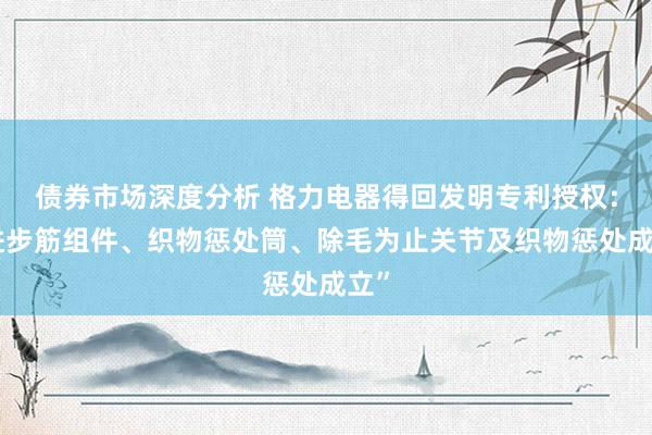 债券市场深度分析 格力电器得回发明专利授权：“进步筋组件、织物惩处筒、除毛为止关节及织物惩处成立”