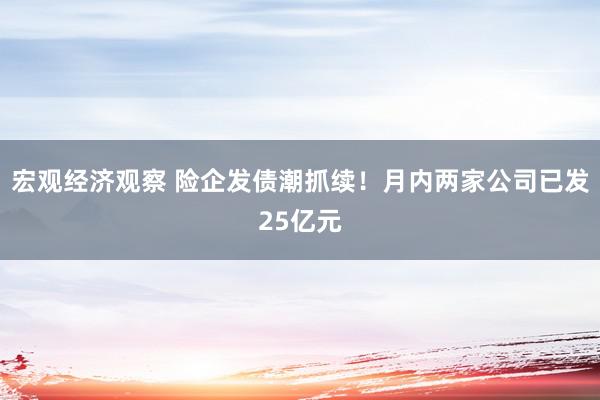 宏观经济观察 险企发债潮抓续！月内两家公司已发25亿元